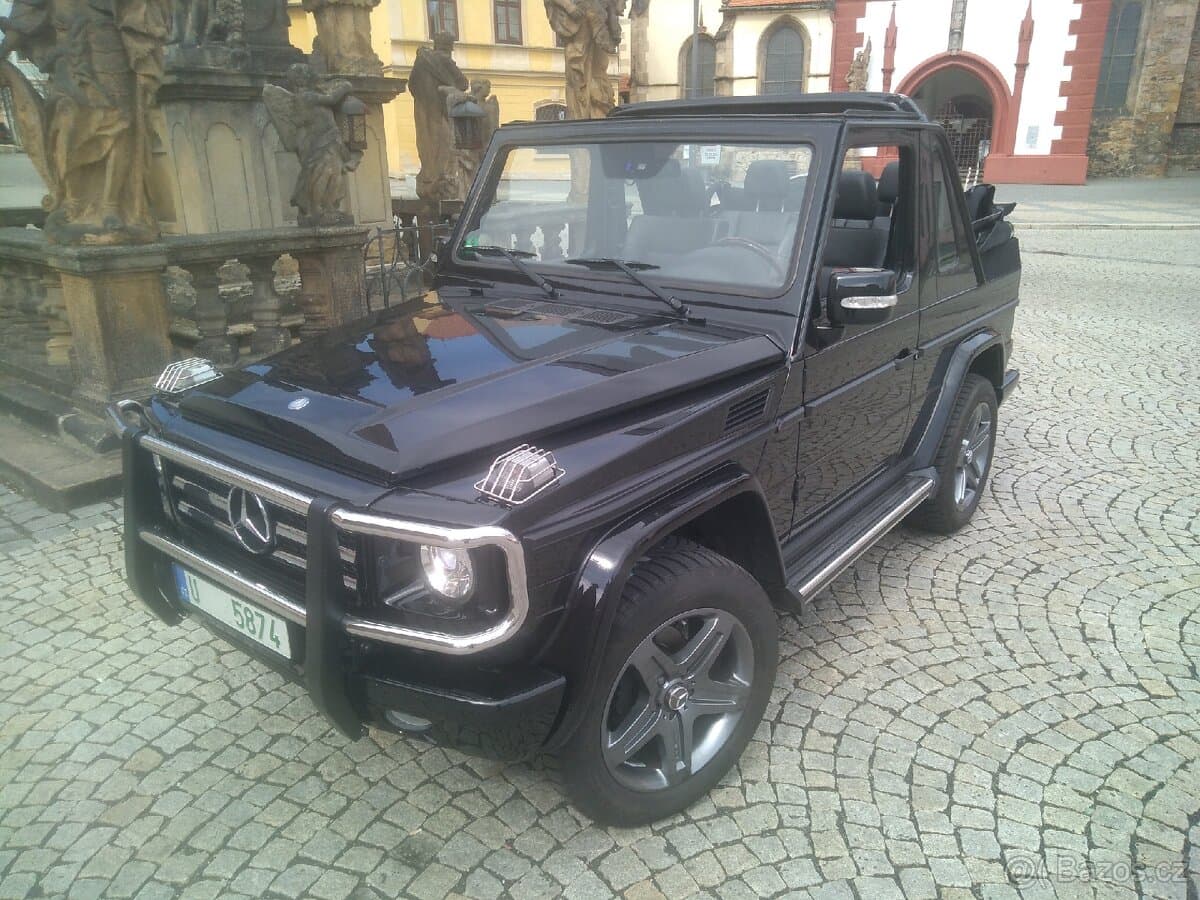 2010 Mercedes-Benz OSTATNÍ