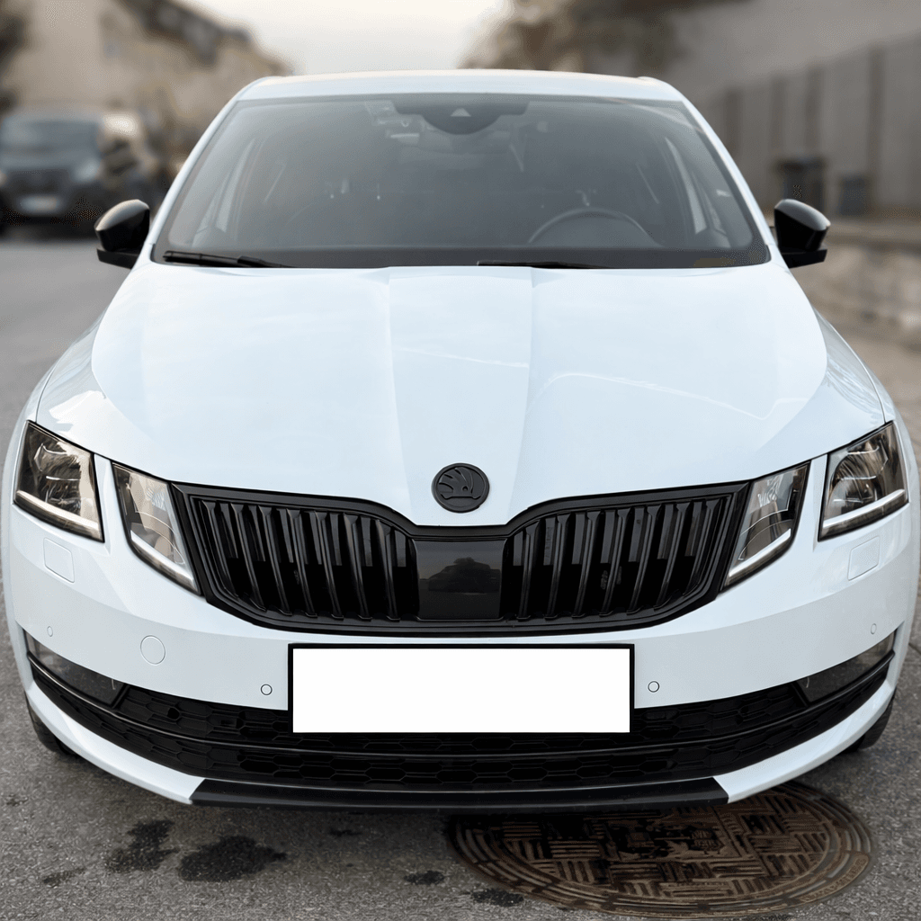 2019 Škoda OCTAVIA