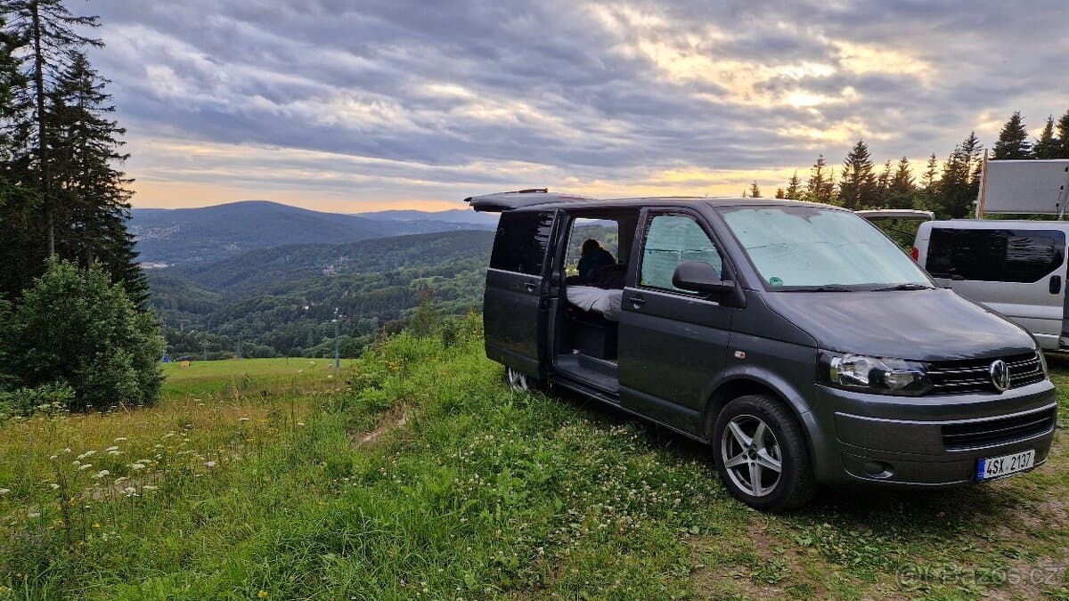 2011 Volkswagen MULTIVAN