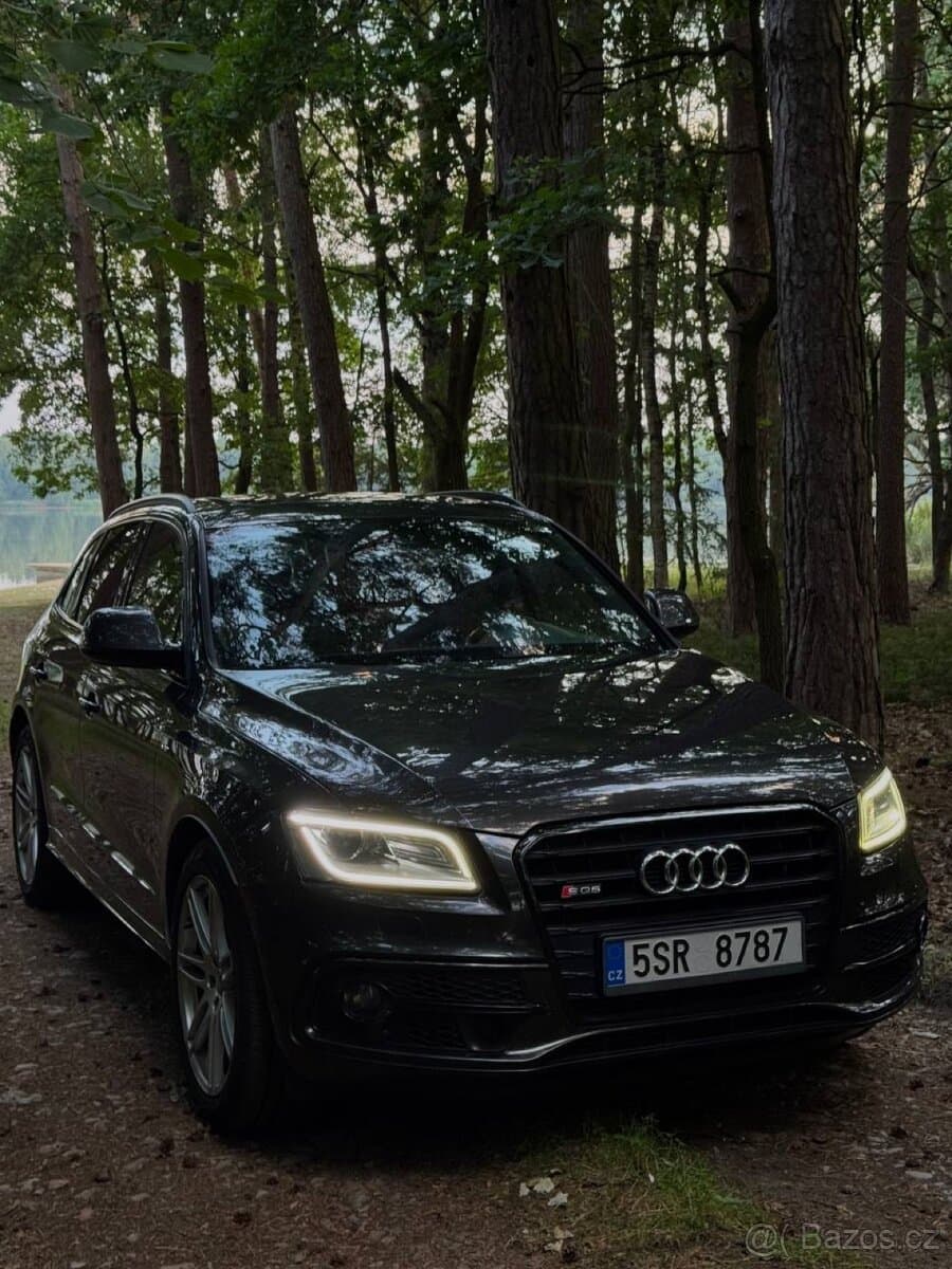 2014 Audi SQ5