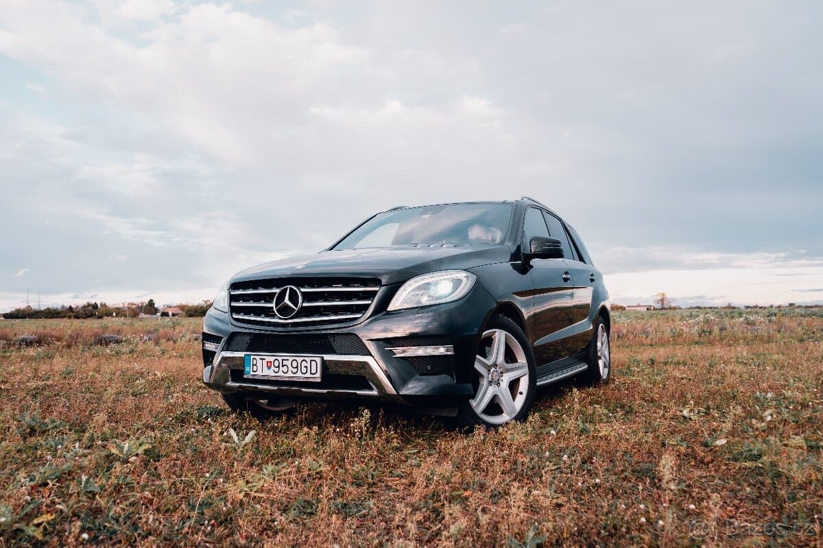 2014 Mercedes-Benz M-CLASS