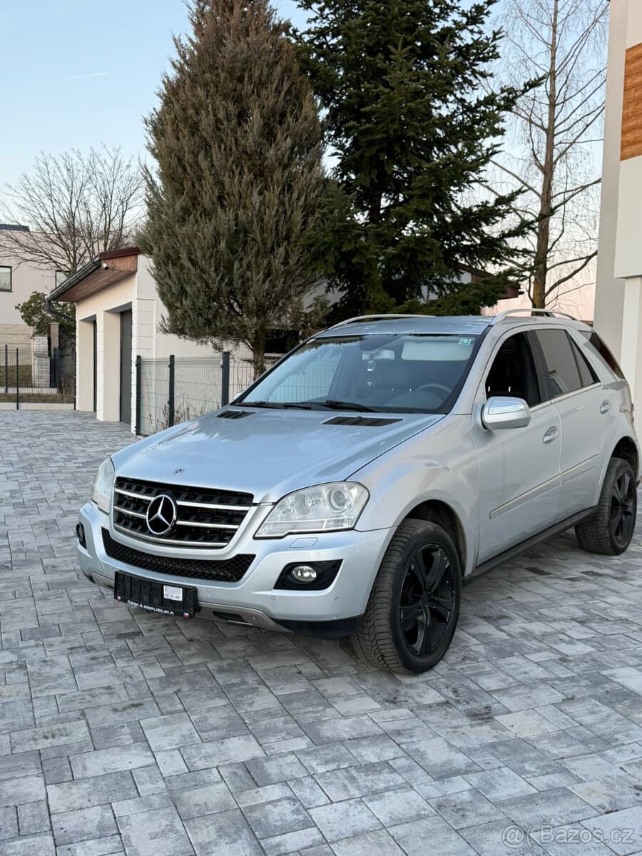 2010 Mercedes-Benz OSTATNÍ
