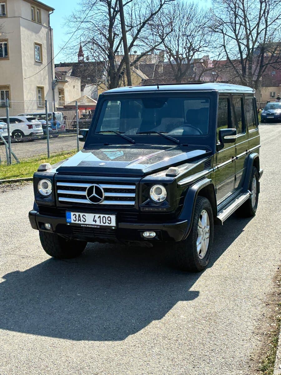 2011 Mercedes-Benz OSTATNÍ