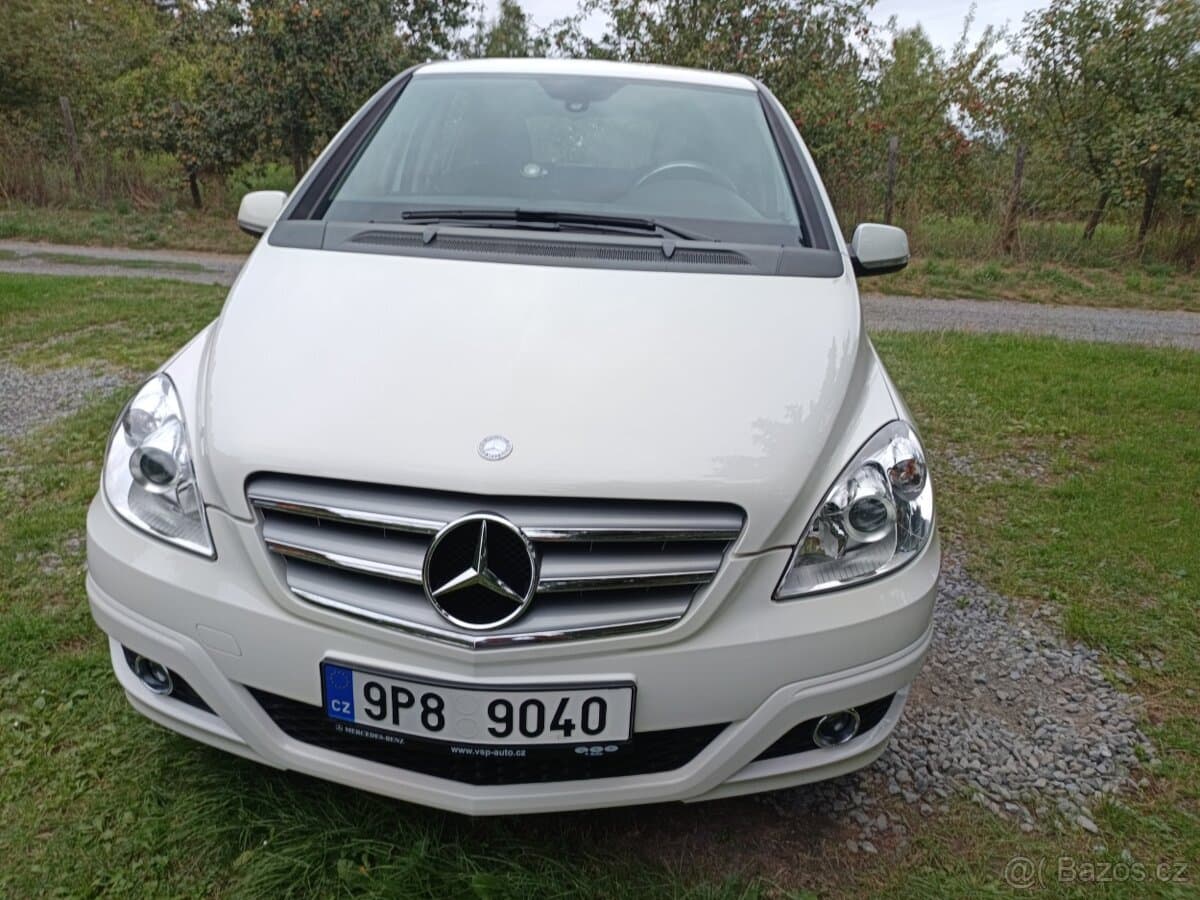 2010 Mercedes-Benz OSTATNÍ
