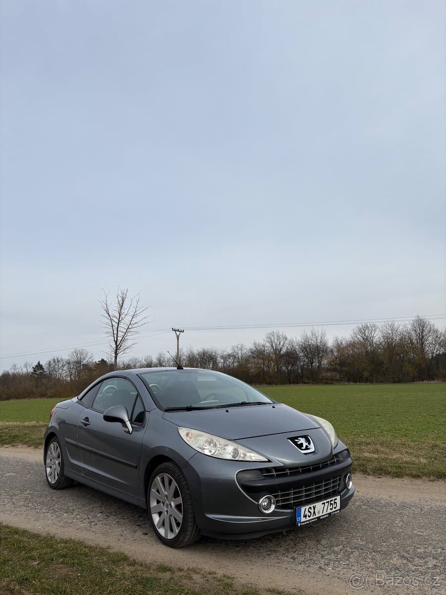 2007 Peugeot 207