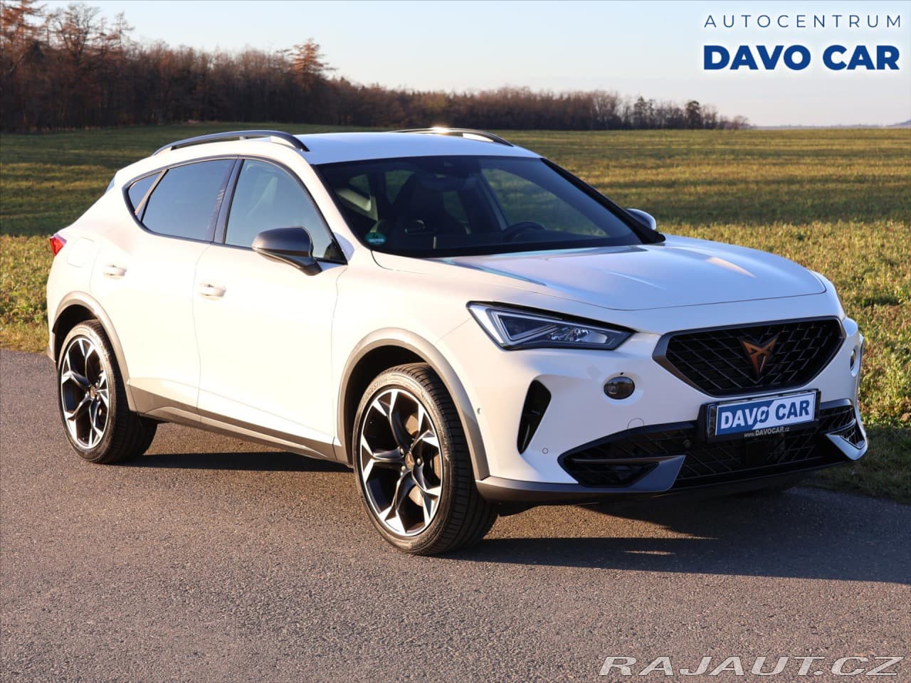 Cupra Formentor 2,0 TSI 228kW DSG 4Drive