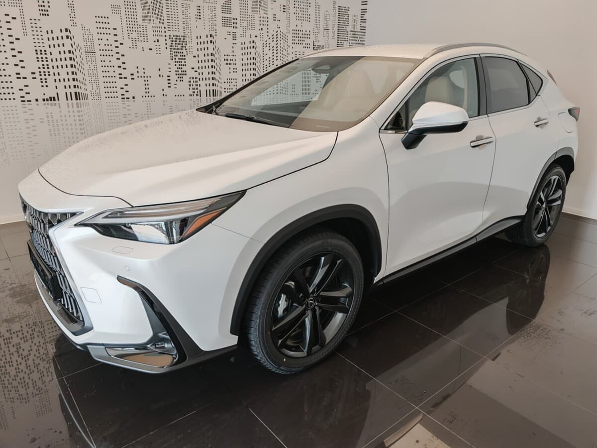 2024 Lexus OSTATNÍ