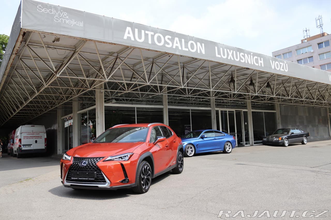 2021 Lexus OSTATNÍ
