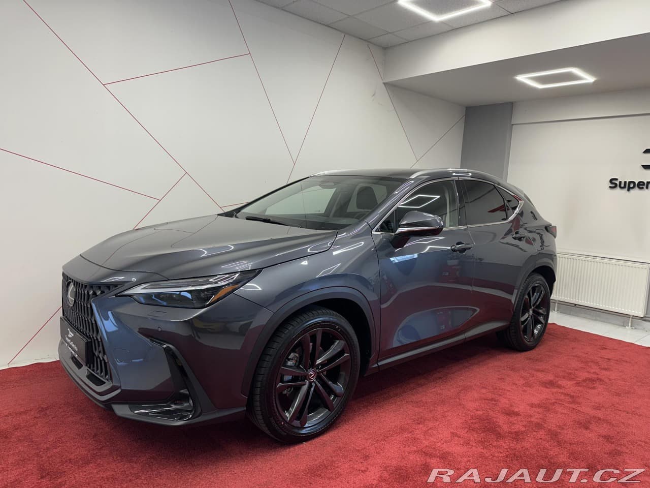 2026 Lexus OSTATNÍ
