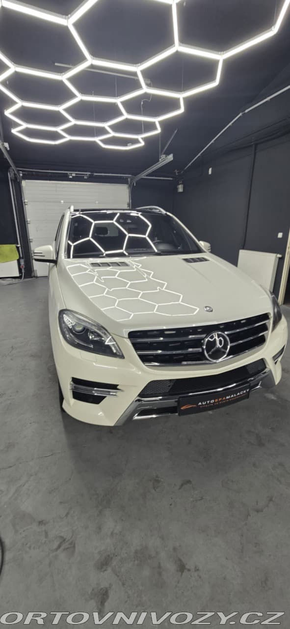 2013 Mercedes-Benz OSTATNÍ