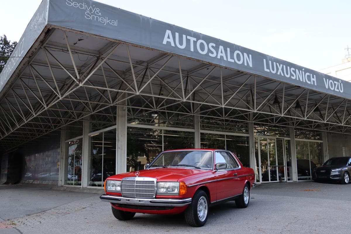 1981 Mercedes-Benz OSTATNÍ