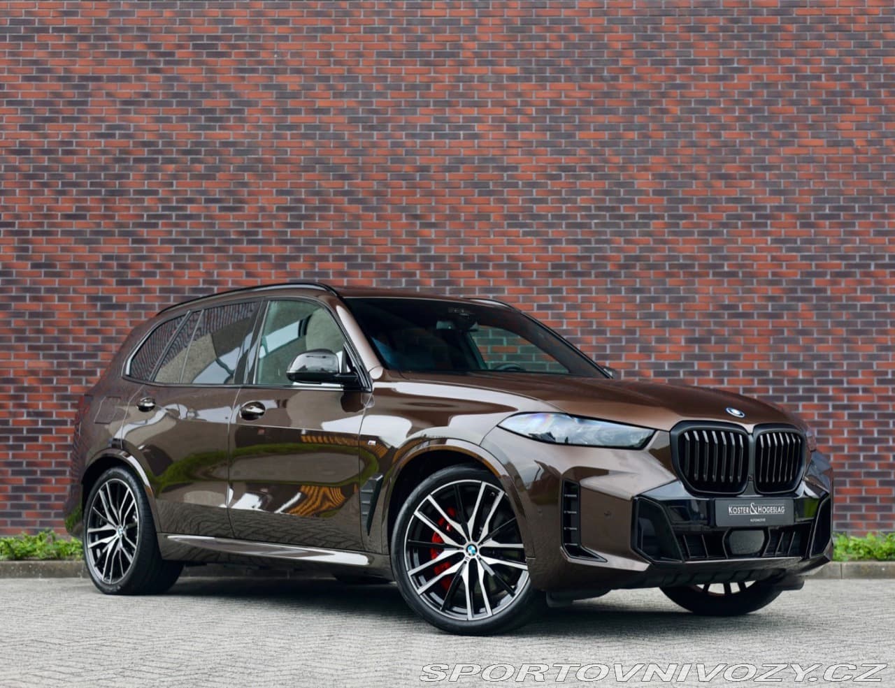 2025 BMW X5