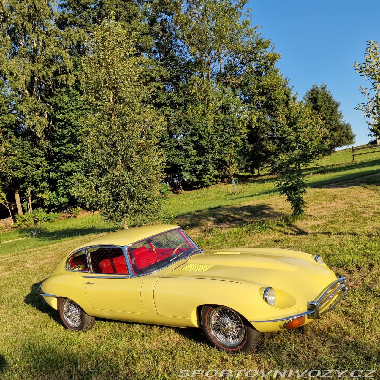 1968 Jaguar E-TYPE