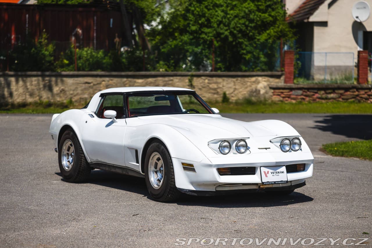 1980 Chevrolet CORVETTE