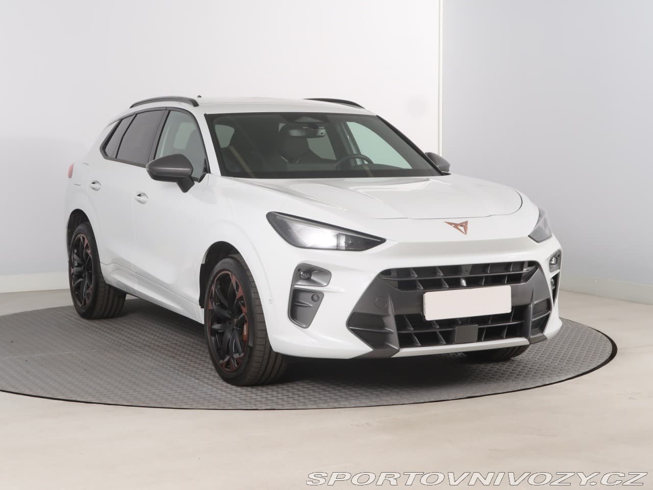 2025 Cupra TERRAMAR